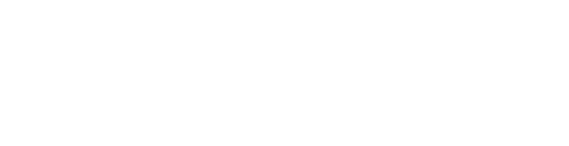 Myrmidons IT Services